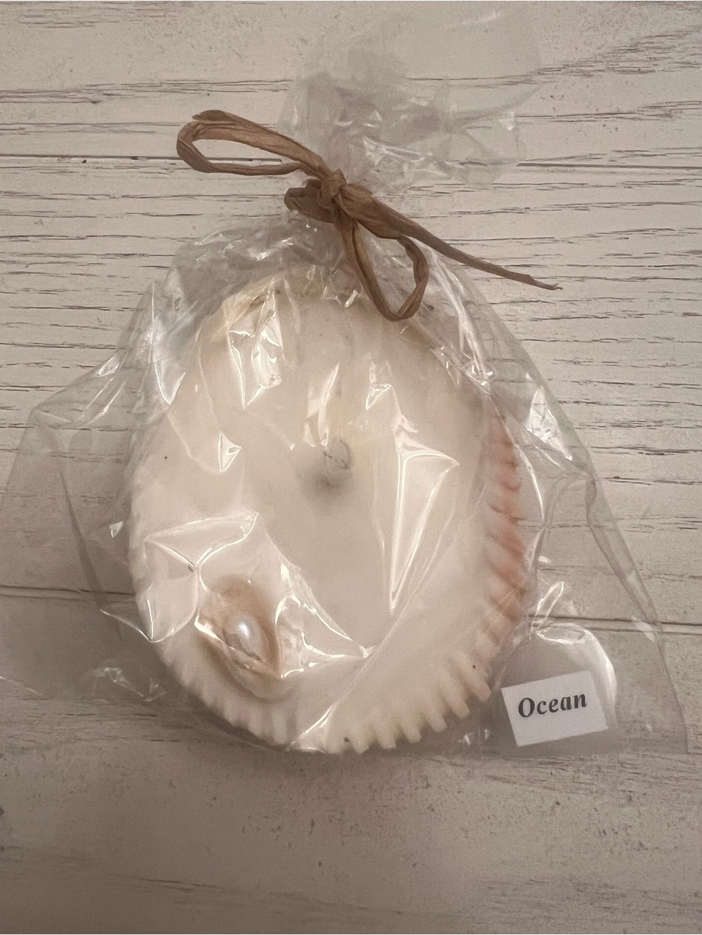 Pawsitive Vibes Seashell Candle - Ocean Scented